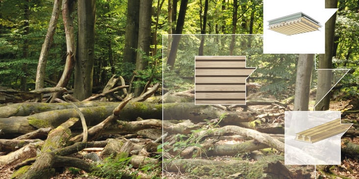 Webdesign Lignotrend