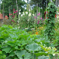 Landlebenfotograf-Landgartenfotografie