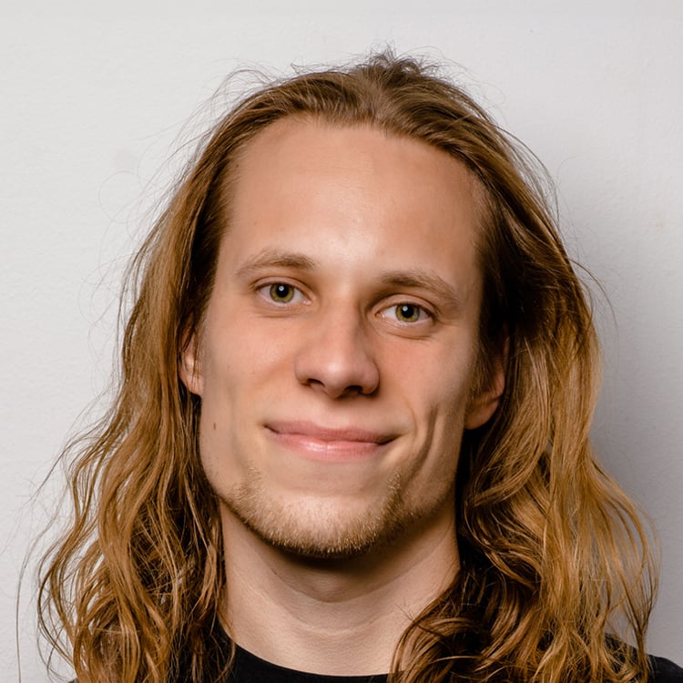 Georg Scheibe-Raub