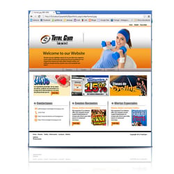 WEB page