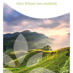 Imagefolder Titel