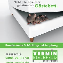 Flyergestaltung und Illustration für einen Schädlingsbekämpfer