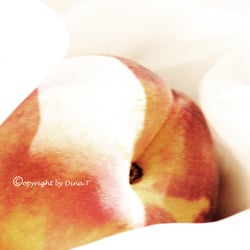 Food 23.08.14