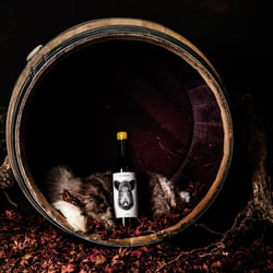 O8A1188-Bearbeitet