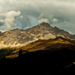Berg