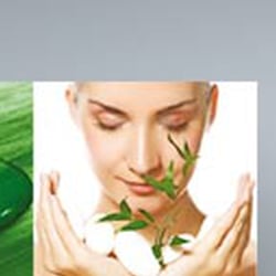 SCHÖNER Kosmetik Aloe Vera Flyer