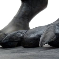 Gargoyle Krallen CloseUp
