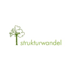 strukturwandel