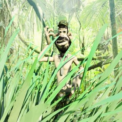 in the bush
