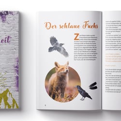 Der Weisheit Anfang