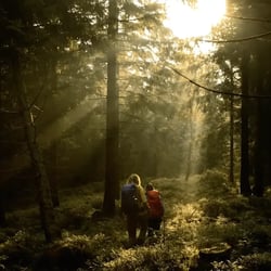 Top Trails Harzer-Hexen-Stieg – Tourismusfilm · Tourismusfilm von Spreadfilms