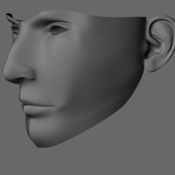 Face