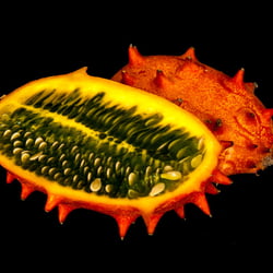 Exotische Frucht