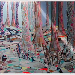 IMAG0011