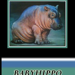 Babyhippo