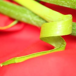 Food Photography 2012 Lauchzwiebel 03