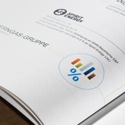 Geschäftsbericht 2017 – Organigramm