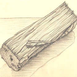 Holz