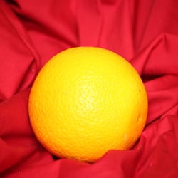 Food Photography 2012 Orange 04