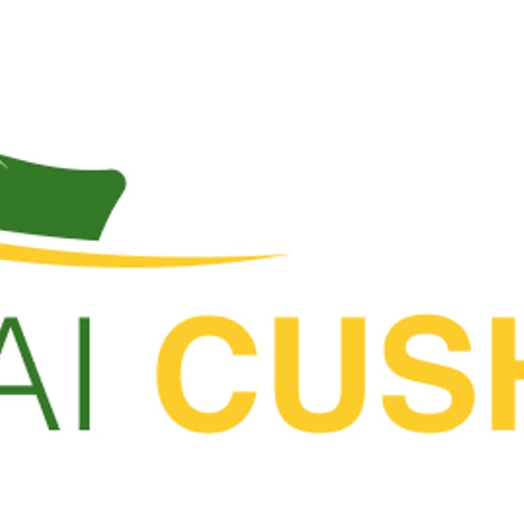Dubai Cushions