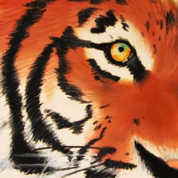 Tiger, Pastellkreide