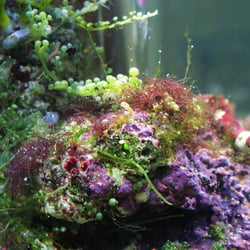 Unter Wasser 04