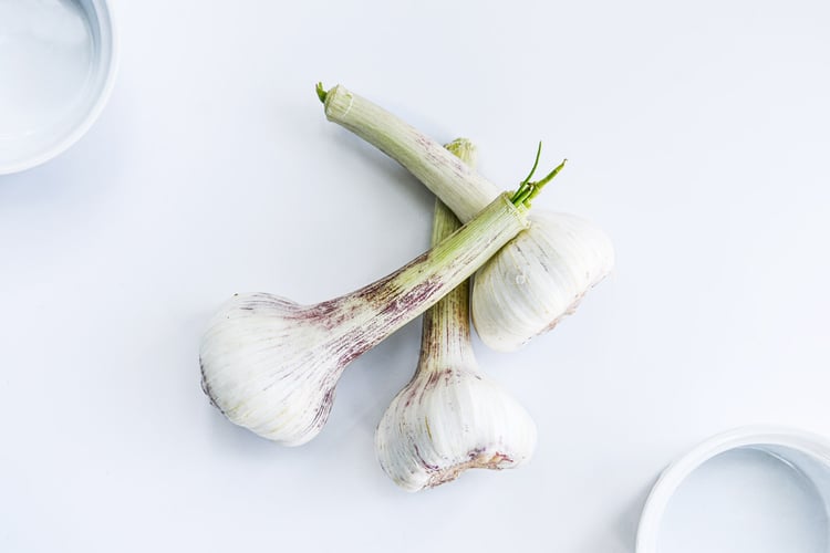Ihr Restaurant perfekt in Szene gesetzt: Foodfotografie von Gudrun Itt