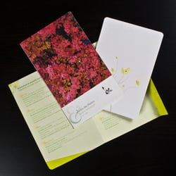 ausgeklappt Flyer