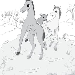 Illustration innen