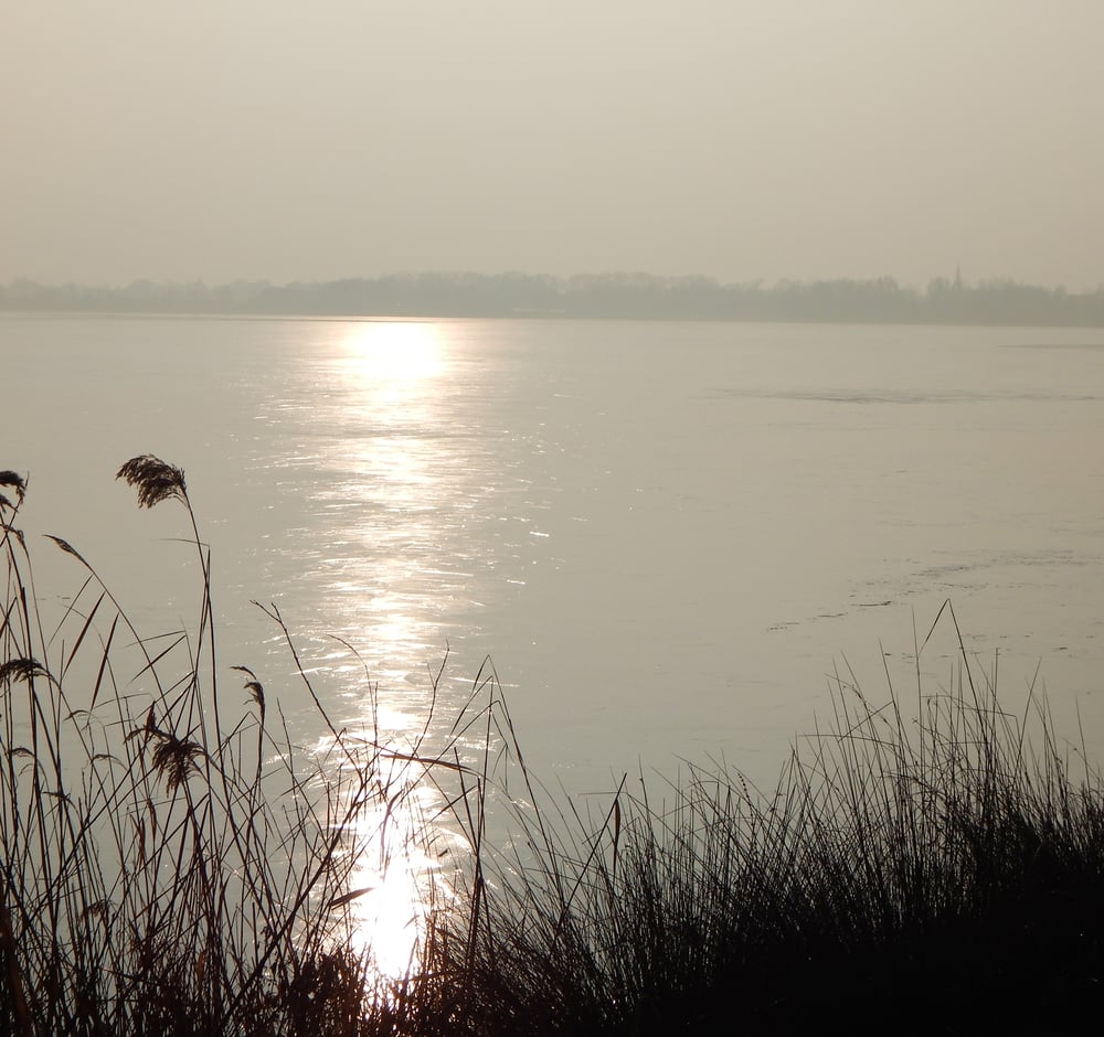 DSCN0574w