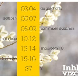 Buch – Inhaltsverzeichnis