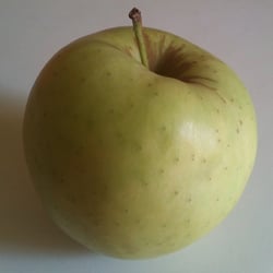 Food Fotografie 2012 Apfel