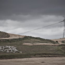 El Camino de Santiago