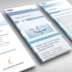 Scandinavian Trade Im- & Export GmbH