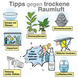 HS Trockene Heizungsluft So sorgen Sie für ein gesundes Wohnklima 2