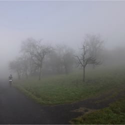 Morgennebel