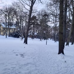 Winter in Bremen
