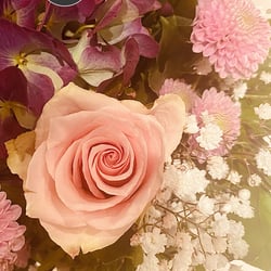 Flower Power / 2022