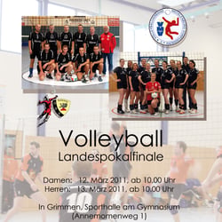 Flyer Volleyball Landespokalfinale