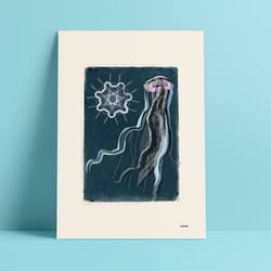 Jellyfish