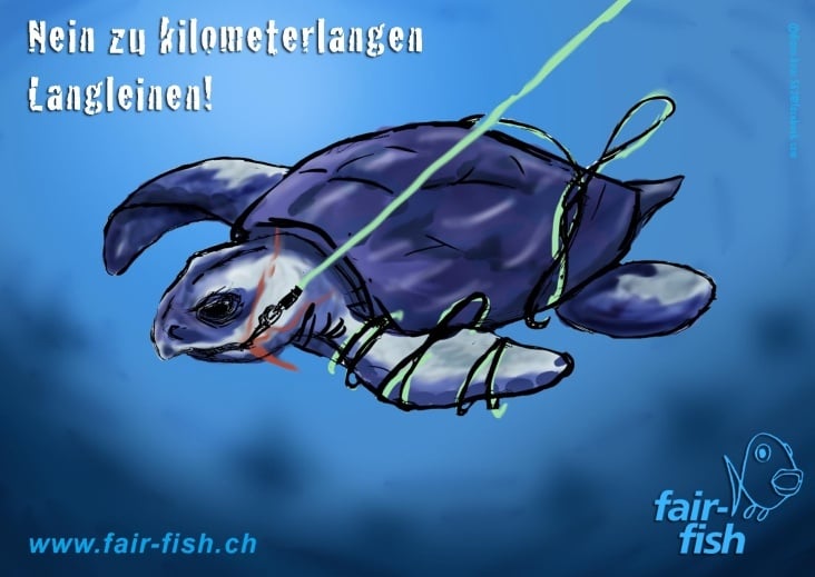 schildi