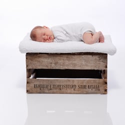 Bild -13