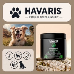 Verpackungsdesign für 3 Supplement-Dosen HAVARIS®