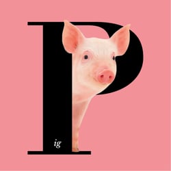 Typoalphabet