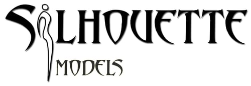 Silhouette Model Management