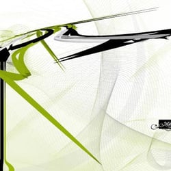morphogenesis