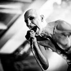 Amphi2013 AlienSexFiend001
