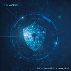 Wersel Brand Analytics