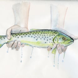 Fisch