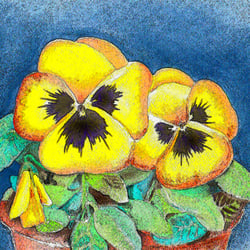 Blume im Topf